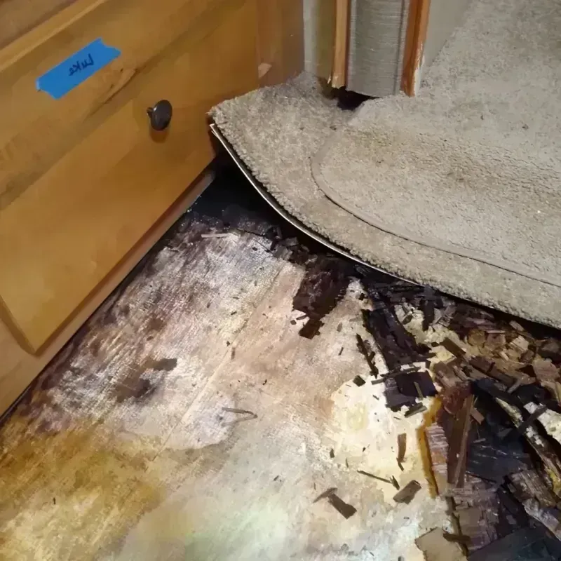 Wood Floor Water Damage in Gervais, OR